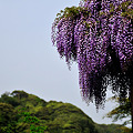 Photos: 20110502_153158