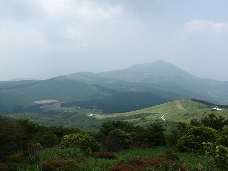 P6290352