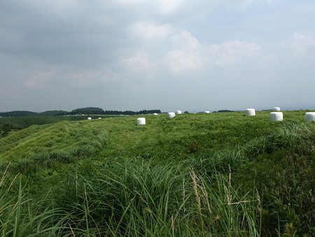 P6290405