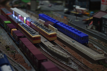 IMGP0217