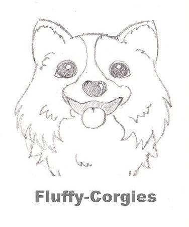 fluffy-sample1