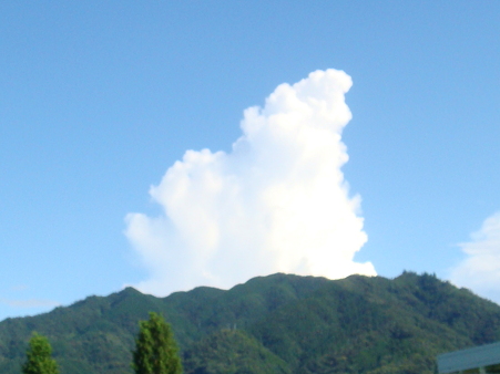 DSC05360
