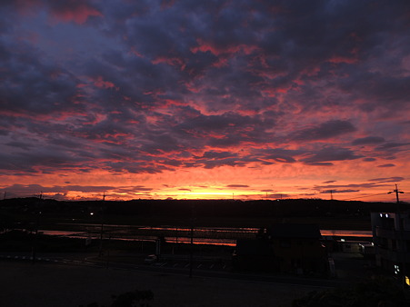 季節限定:水田も色付く夕焼け