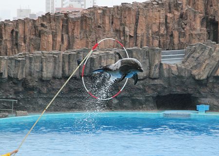 名古屋港水族館