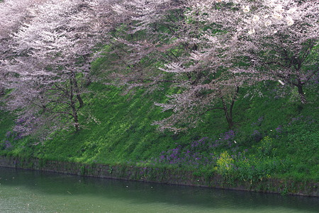 IMGP5586