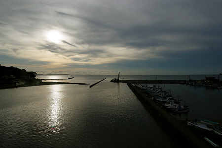IMGP1248