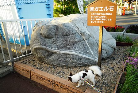DSCN2668