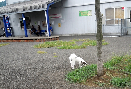 DSCN4064