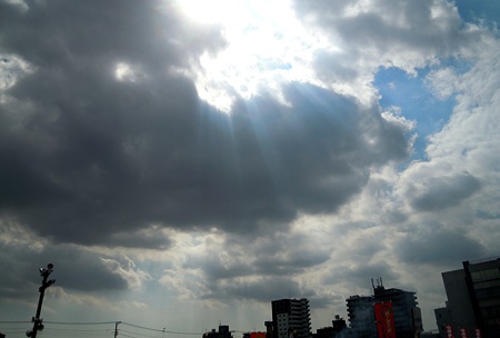DSCN4142