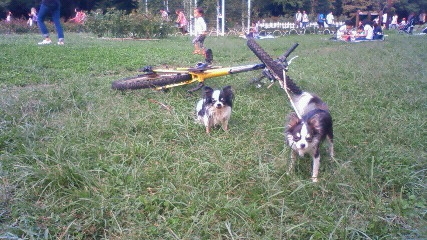 201009261403001