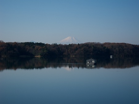 多摩湖から眺める富士山