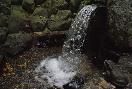 DSC_0476