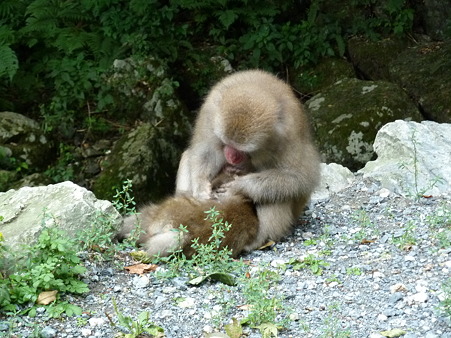 岡山2010 121