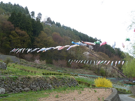 2011甲信 025