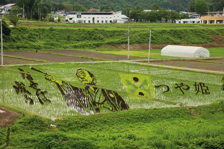 上杉鷹山公　田んぼアート