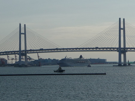 100322-大桟橋 客船2隻 (28)