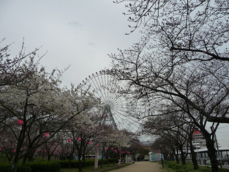 100331-天保山公園 (2)