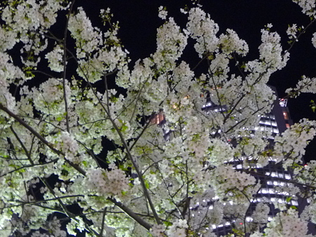 100331-名古屋駅夜景色 (2)