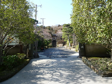 110225-東慶寺 (1)