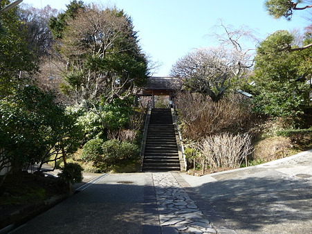 110225-東慶寺 (3)