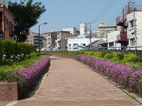 110622-東横廃線 東白楽→反町 (23)