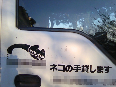 猫の手貸します。