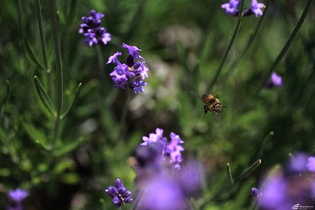 Blog_20140706_010