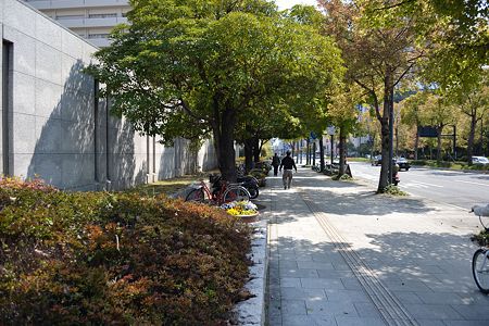 C-1 中央テニスコート西サイクルポート (遠景)