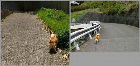 るんるん