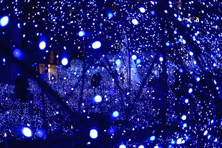 2010.12.04　汐留　BLUE OCEAN　「約束のツリー」から光の道へ