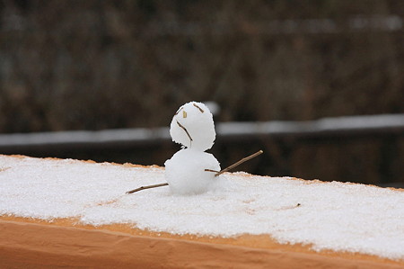 2011.02.12　和泉川　欄干に雪だるま