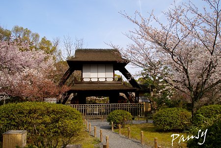傍花閣 渉成園・・3