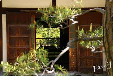 奈良 薬師寺にて・・1