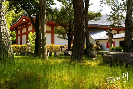草の緑と・・奈良 薬師寺にて・・2
