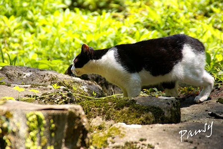 小田原城址にて・・2