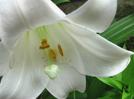 IMGA0030