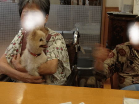 泣いていた・・・
