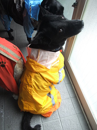 お、そのポーズもいいぞ♪