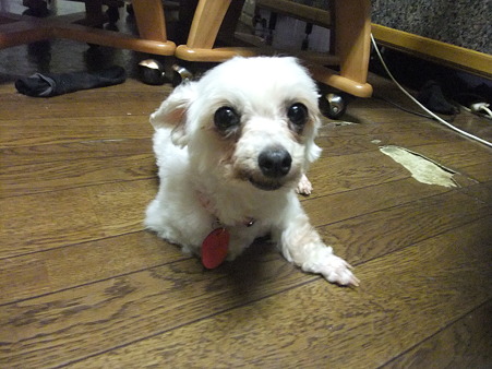 かわいく
