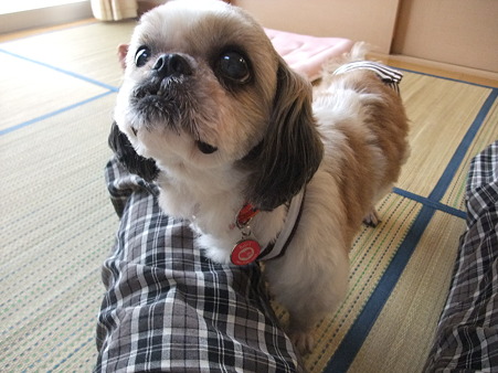 むっちゃくちゃ美人さん!