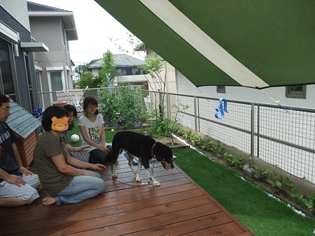 こたろうの部屋
