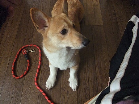 あのおばちゃん