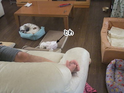 居た!