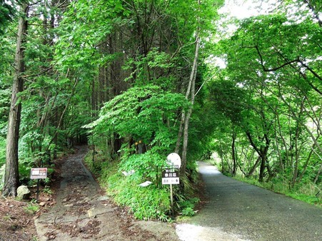 DSCN3041