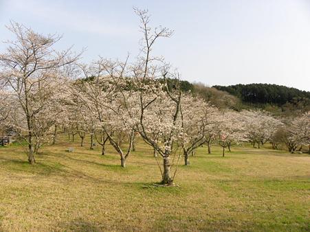 DSCN3769