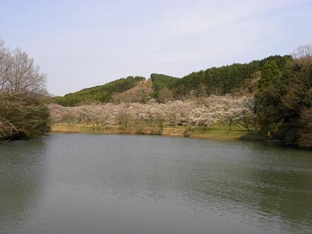 DSCN3770