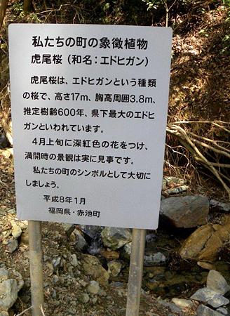 DSCN3929