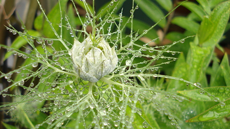 DSC00208
