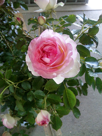 DVC00005_edited