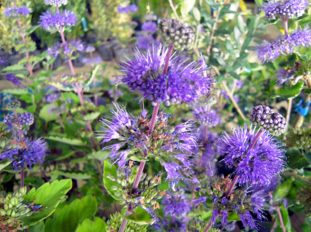 DSCN1360_edited